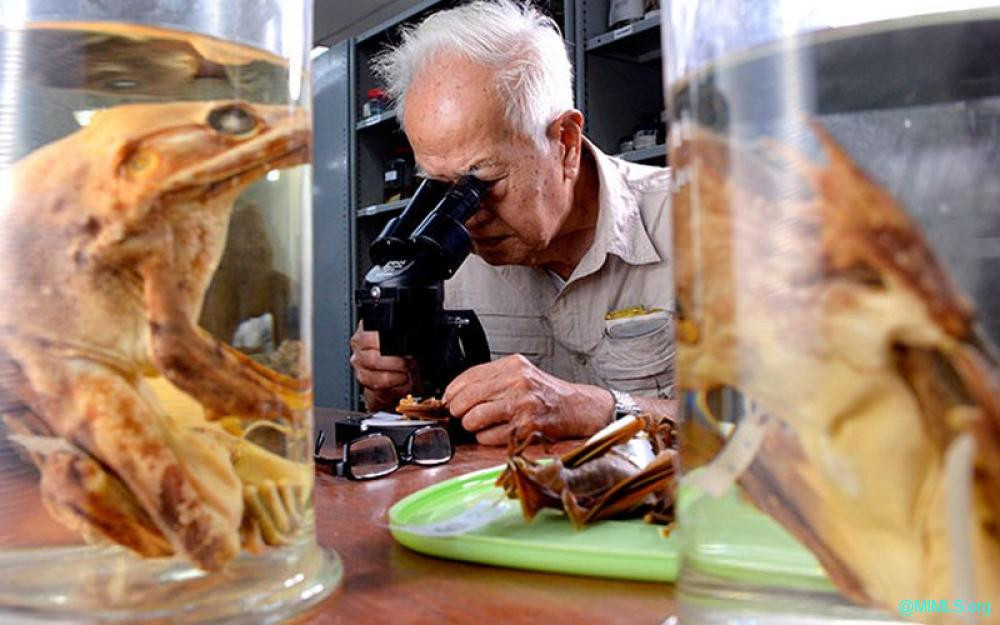 Conservationist and zoologist Dr Lim Boo Liat received the 2013 Merdeka Award. He died today at the age of 94. (Merdeka Award pic)